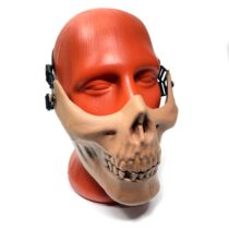 maska-zashchitnaya-skeleton-na-nijnyuyu-chast-lica-oliva-as-ms0014t-tan